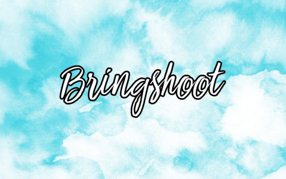 Bringshoot Font for Business Branding