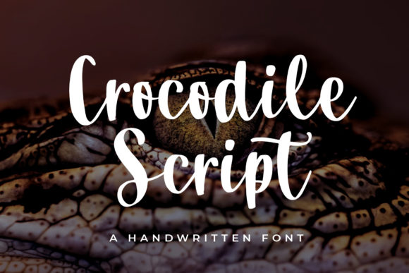 Crocodile Script Font for Elegant Branding