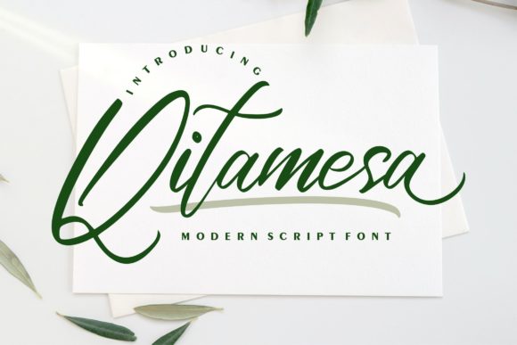 Qitamesa Script Font for Creative Campaigns